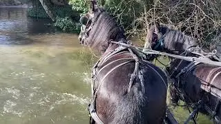 One Just Starting Out and One A Schoolmaster