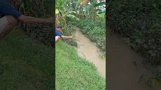 Spot alami rasa kolam pribadi #fishing #microfhising #mancing