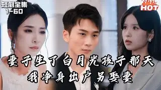 Multi |男頻熱播短劇🔥妻子和白月光生孩子後，我放棄愛情，另娶妻丨慕云秋雨知我意丨追夫火葬场,逆襲 复仇