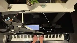 In the Pool ~ Chainsaw Man: Reze Arc arr. Animenz - Piano Lesson/Tutorial with Richard Yang