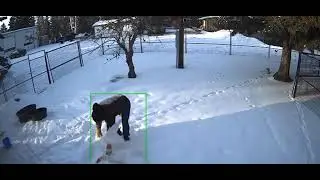 Person Gets Attacked by Their Goose in Barn - 1530829
