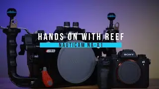 Hands on with Reef: Nauticam A1