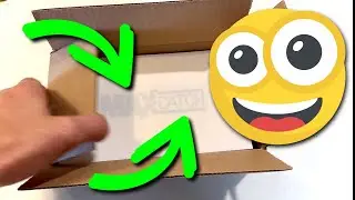MaxCatch Glue Trap Unboxing and Review: GREAT TRAPS!