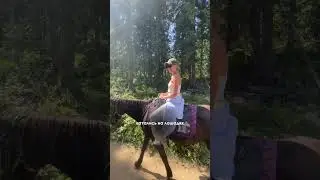 приятно удивлена, как Шерегеш развивается летом! Все контакты оставила под постом в инст puhango 🤌