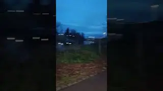 Вечерняя панорама старинного парка в Штутгарте.