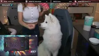 Twitch clip of Alinity
