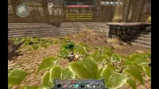 Divinity 2 - Ch71-01 - Mardaneus Plaza Zombies