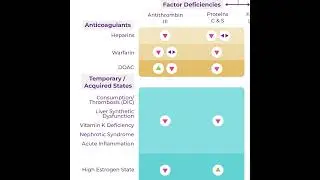 #173 Hypercoagulability Workup: 5 Pearls Segment