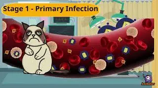 Feline Immunodeficiency Virus (FIV): What You Need to Know As Vets/Vet Students