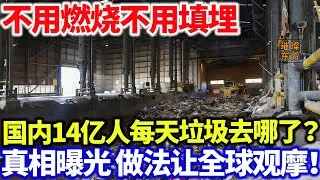 不用燃烧不用填埋，国内14亿人每天垃圾去哪了？真相曝光 做法让全球观摩！#璀璨东方 #科普 #垃圾