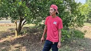 😥(QUE TRISTEZA)‼️NO IMAGINÓ QUEDARSE SIN TRABAJO, Véan lo que tiene planeado.