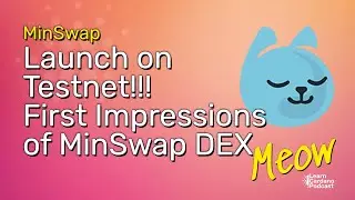 MinSwap Live on Testnet! Playing Around & First Impressions of the DEX