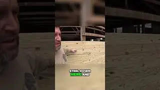 Cows vs. Walls: Hilarious Farm Upgrades Gone Wrong!