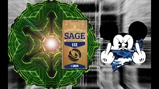 Erstes Mal Salvia Divinorum - Azteken Salbei  - Tripbericht