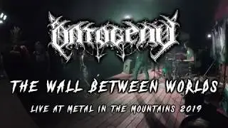 Ontogeny - The Wall Between Worlds (Live - Featuring Mica Maniac)