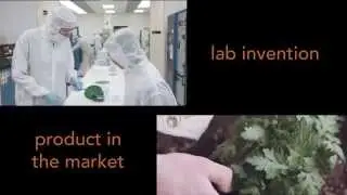 New York State's Technology Commercialization Clinic Network