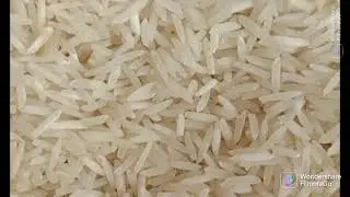 Today Ghalla mandii Rice 🌾 rates || 5 July 2022 || آج پاکستان غلہ منڈیوں کے چاول کے نئے ریٹ