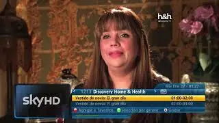 Gu&iacute;a VETV por Sky (27/01/2016 01:22h)