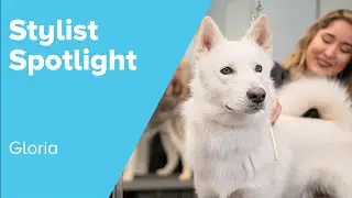 Pet Grooming Stories: Gloria's Groomer Spotlight