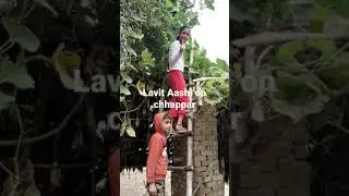 Lavit and Aashi trying to get bottle gourd(लौकी) using 🪜 ladder - YouTube #Shorts