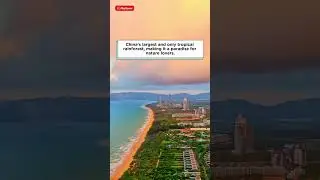 Island vibes in China&rsquo;s tropical gem &ndash; Welcome to Hainan!