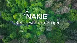 Madagascar Reforestation project