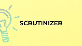 What is the meaning of the word SCRUTINIZER?