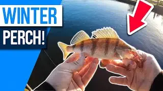 searching for canal Perch in FREEZING Conditions