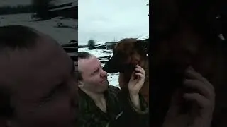 Реакция моей собаки на поцелуйчик #собака #любовь