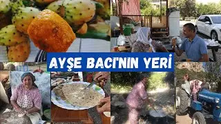 AYŞE BACININ YERİ (Taşağıl Beldesi-Manavgat/ANTALYA)