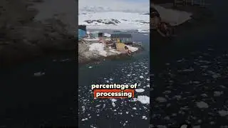 America's National Security and Greenland's Rare Earth Elements
