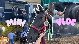 Drezurní závody na Přední Kopanině 🐴✨