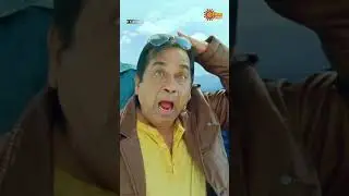 Simhadri ki sequel ra nenu | Brahmanandam super comedy scene | Telugu Comedy scene
