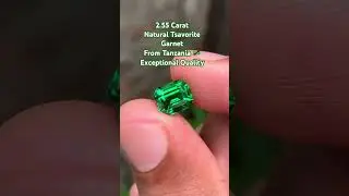 Natural Tsavorite Garnet from Tanzania 🇹🇿 2.55 Carat Exceptional Quality Stone