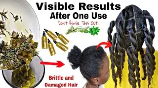 NO JOKE!Overnight Hair Growth Treatment!How I grew my hair FAST using Rosemary AloeVera n Mint Leave