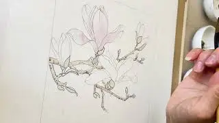 Gongbi Magnolia Painting | Step-by-Step Process 工笔玉兰花的绘制过程