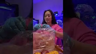 Crafty Crab Mini Mukbanggg #mukbang #eating #eatwithme #crawfish #seafood #shortsfeed #shorts