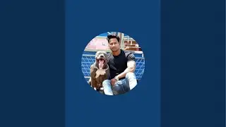 JAPU ARAB PET VLOG  is live