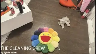 The Cleaning Crew