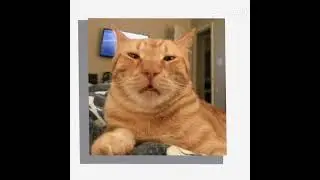 #capcut #notcopyright