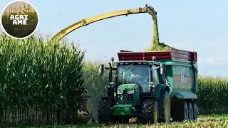 Trinciatura mais |John Deere 9800i | 3x 6R & 8R | Deutz-Fahr 7250TTV| Ciceri, Antonioli e Mascheroni