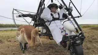 VLADIMIR PUTIN TRIBUTE
