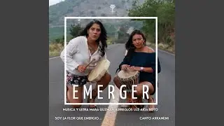 Emerger