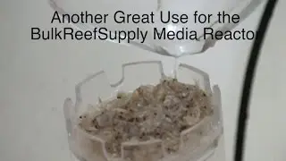Rinse your frozen food with the BRS Media Reactor - ReefKeeping Video by AmericanReef
