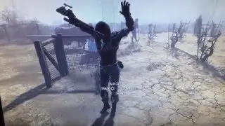 I think I broke Piper