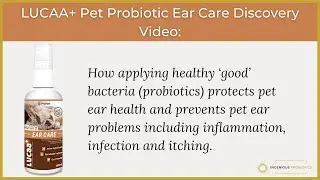 LUCAA+ Pet Probiotic Ear Care Discovery Video