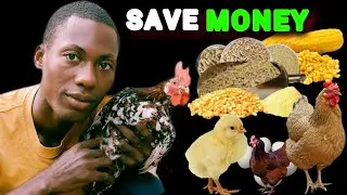 SIMPLE & BEST WAY TO MAKE LOCAL CHICKEN FEED: SAVE MONEY💰