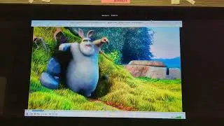 WARNING: FLASHING! Linux 5.19 + amdgpu on 7950X3D heavy screen flashing with video playback