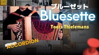 ブルーゼット【Bluesette】 Accordion solo cover
