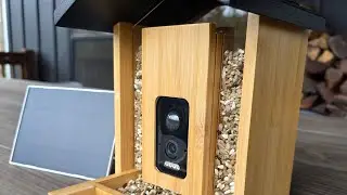 Обзор интеллектуальной кормушки для птиц 🐦 Кормушка с солнечной камерой, функцией распознавания п...